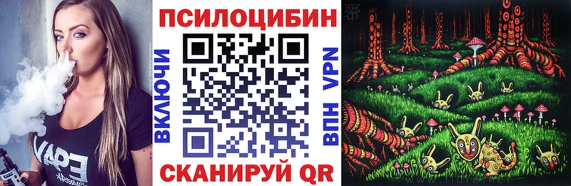 Купить где  Томск  Псилоцибиновые грибы GOLDEN TEACHER 